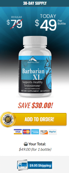 barbarian xl 1 bottle price